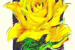 THE-NEW-YELLOW-ROSE