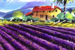 French-Lavender-